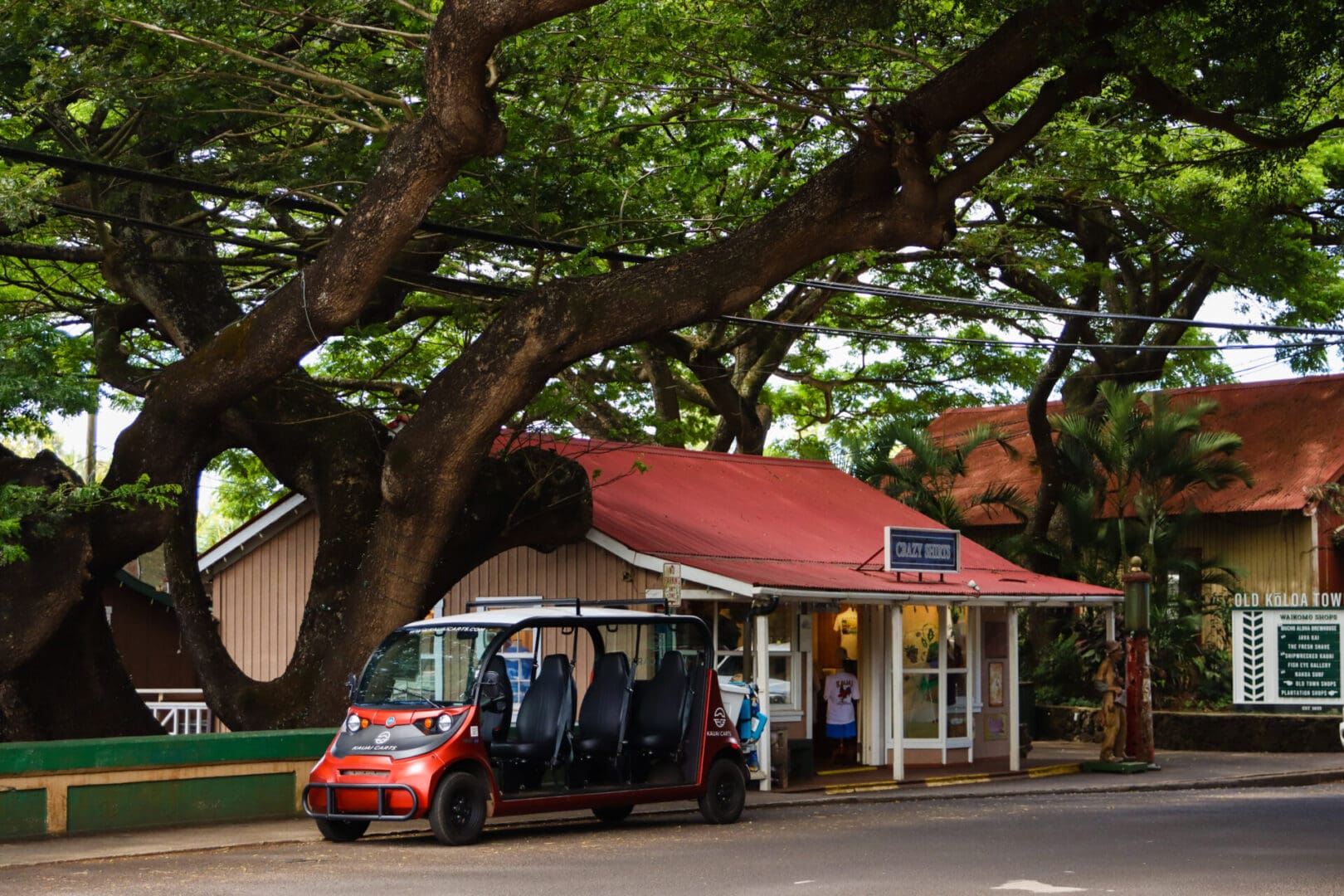 A red and white car parked in front of a tree.