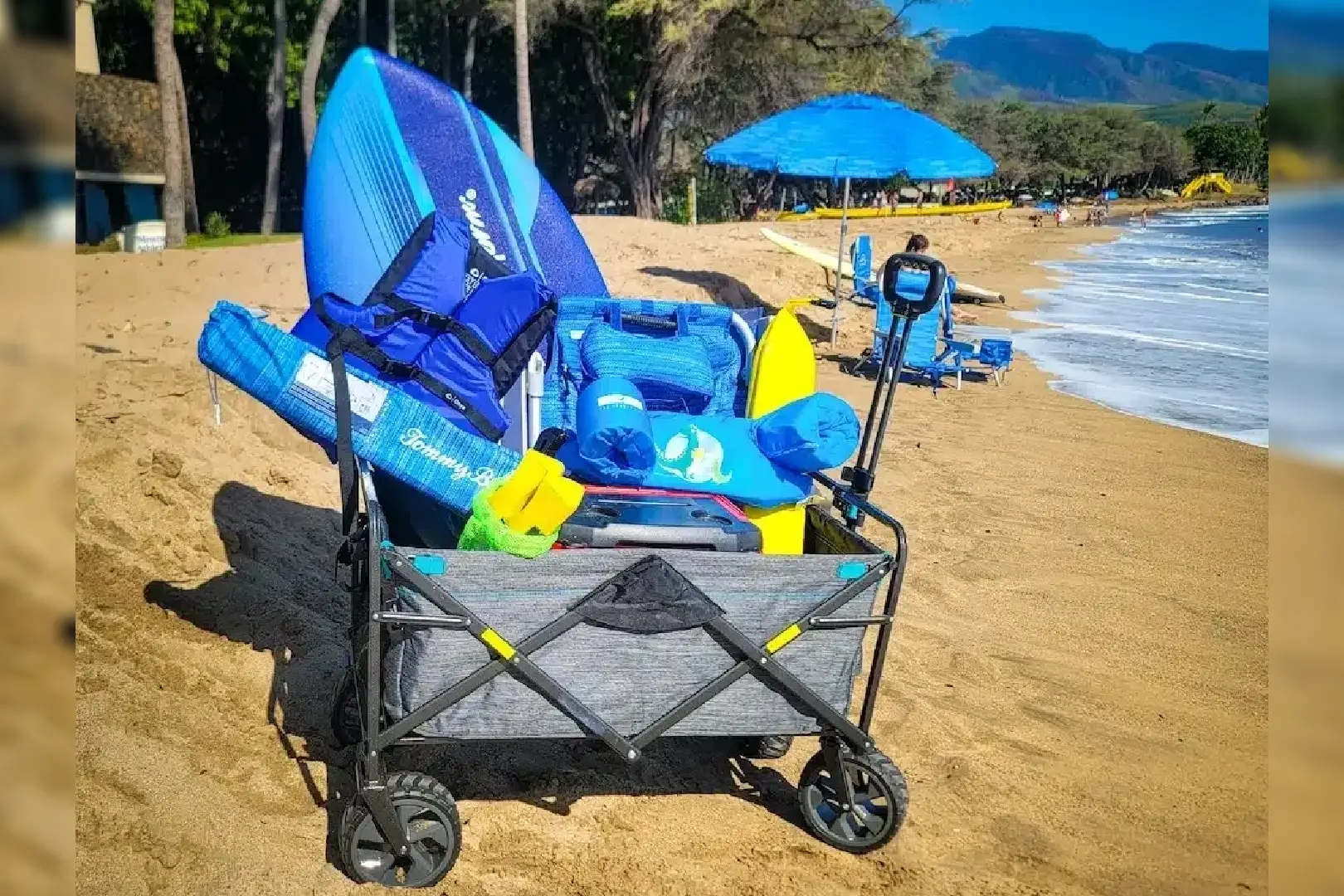 Beach Wagons